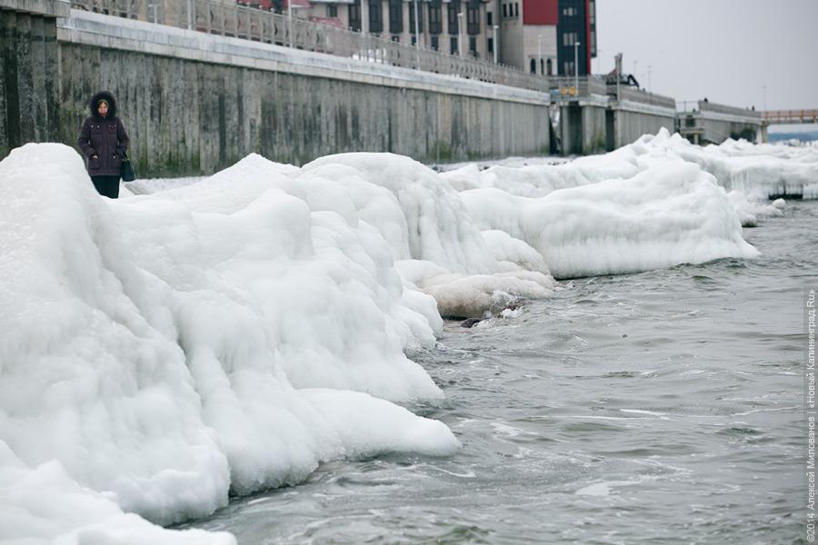 Недоморозило: холодам не удалось сковать льдом берег Балтийского моря