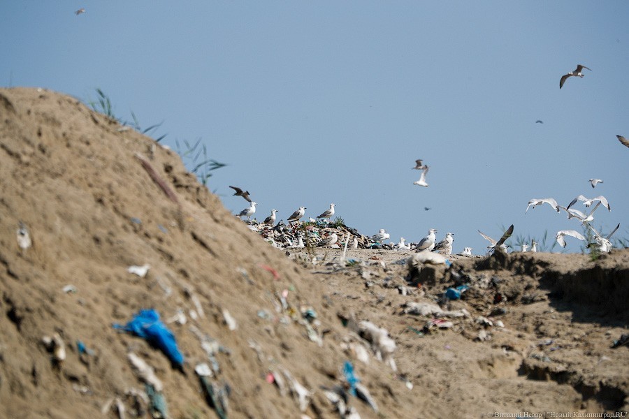 Чиновники пожаловались на «грязищу» на выезде с мусорного полигона в Круглово
