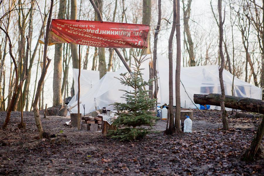 Кладбищенские истории: что происходит с лесопарком на Донского