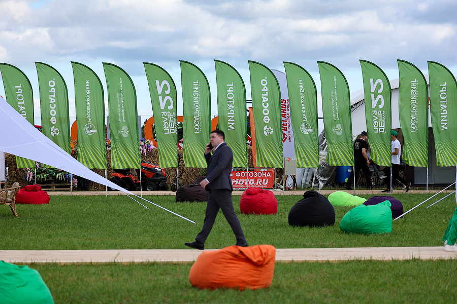 Ржится рожь, овёс овсится: в Калининградской области проходит Всероссийский день поля (фото)