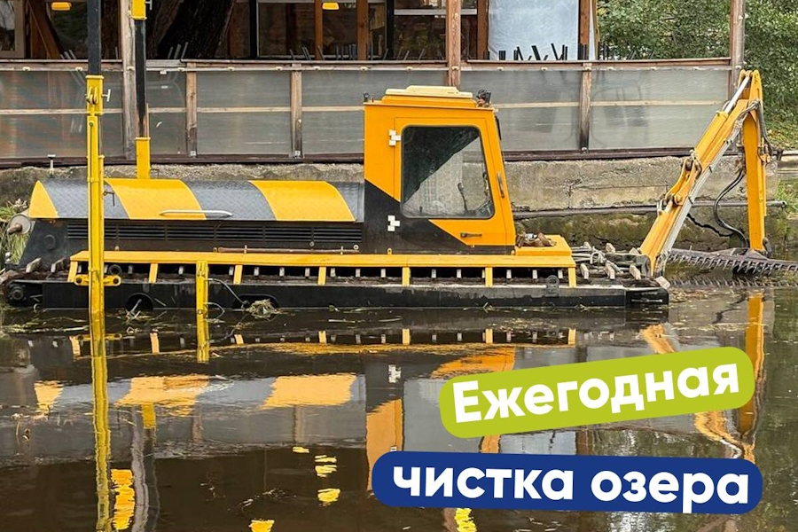 В Светлогорске начинают чистить озеро Тихое (видео) (фото)