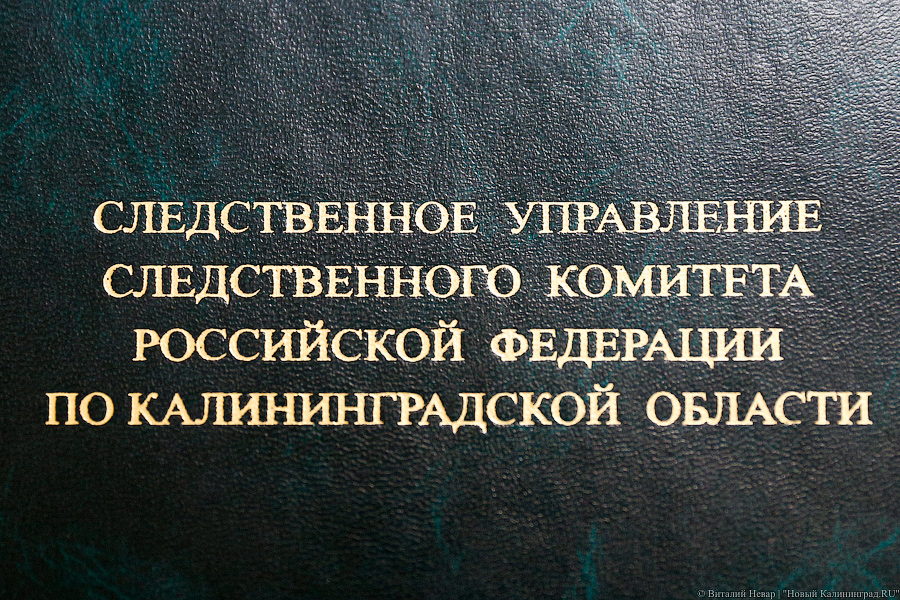 Калининградка ложно обвинила соседа в изнасиловании