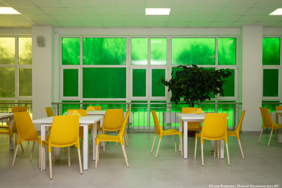 От дрона до 3D-принтера: в Калининграде открылась «школа для школы» на Каштановой аллее (фото)