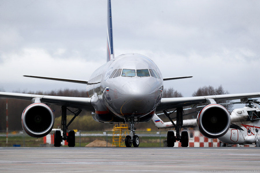 «Там делать нечего»: глава аэропорта в Ярославле о предложении возобновить рейсы в Калининград