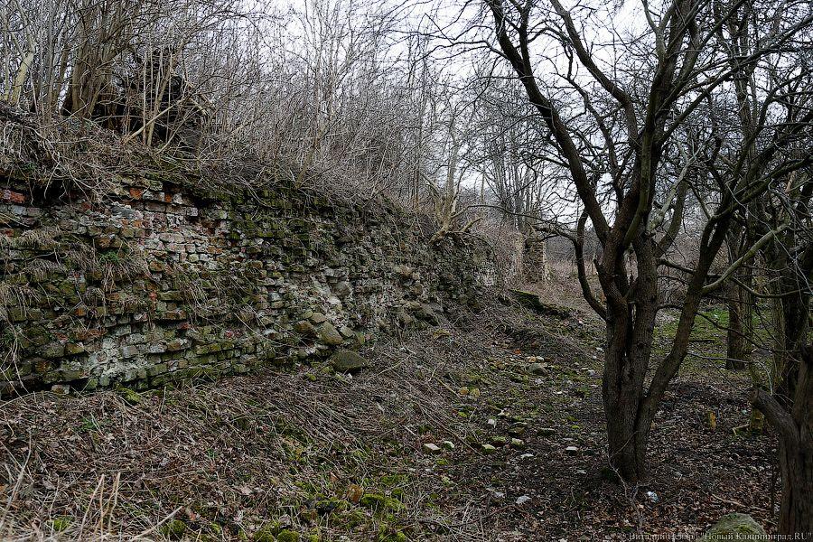 «Судьба замка под вопросом»: из-за кризиса могут рухнуть остатки Бранденбурга