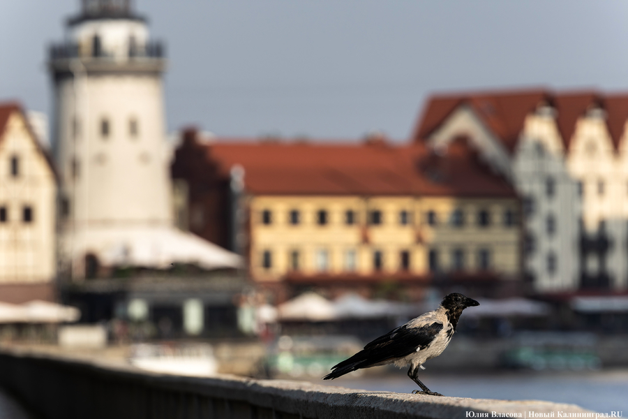 «Летний бонус в сентябре»: как прошла неделя температурных рекордов (фото)