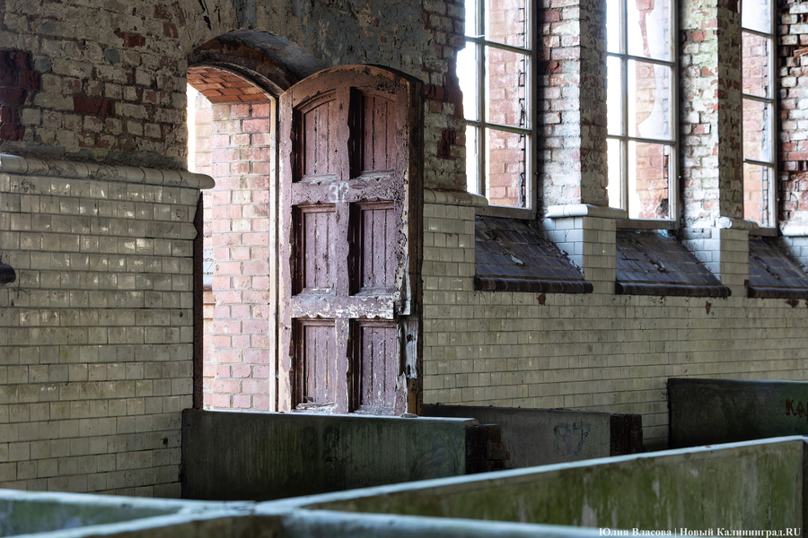 След Розенау: как выглядит заброшенный мясокомбинат на Аллее Смелых (фото)