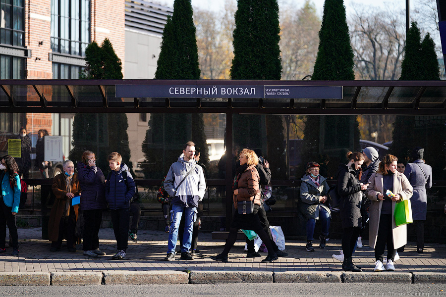 Локдаун по-калининградски: город и его жители в объявленные властями нерабочие дни (фото)