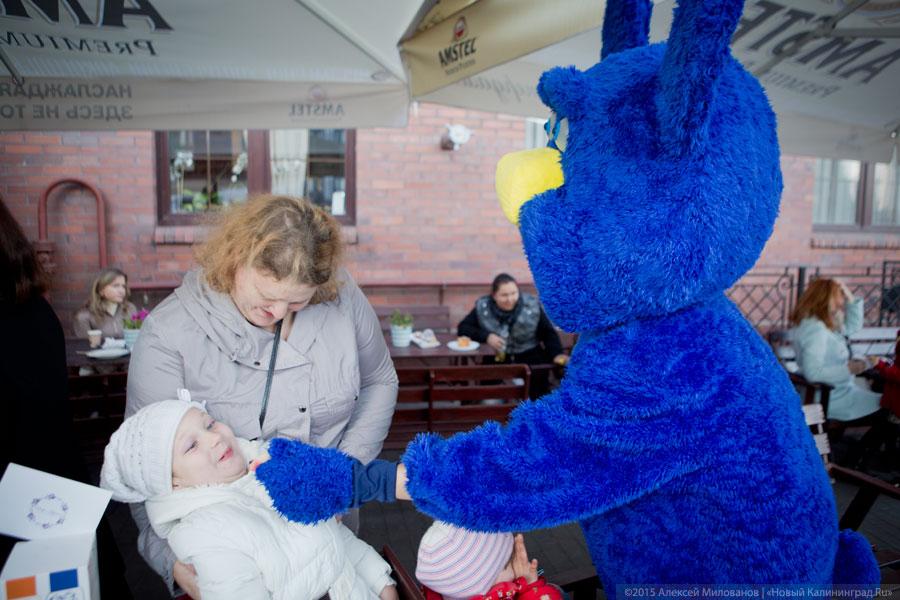 Сядь на пенёк, съешь пирожок: как прошел фестиваль шарлотки
