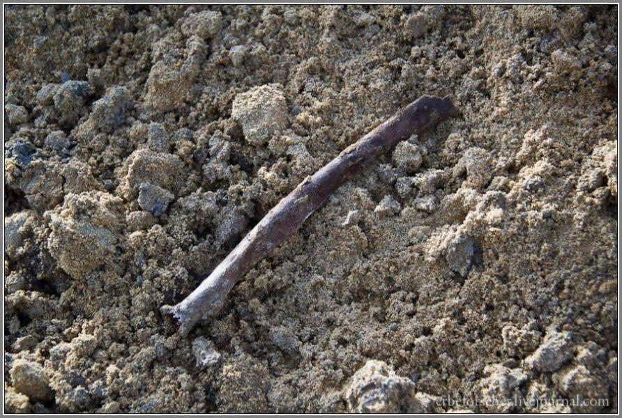 Рабочие раскопали захоронение на Моспроспекте, на земле валяются кости (фото)