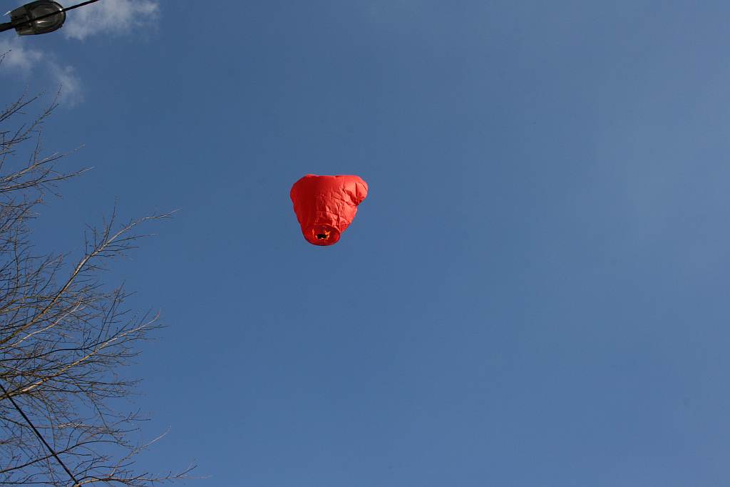 Маленький Жора вернулся домой : фоторепортаж Нового Калининград.Ru
