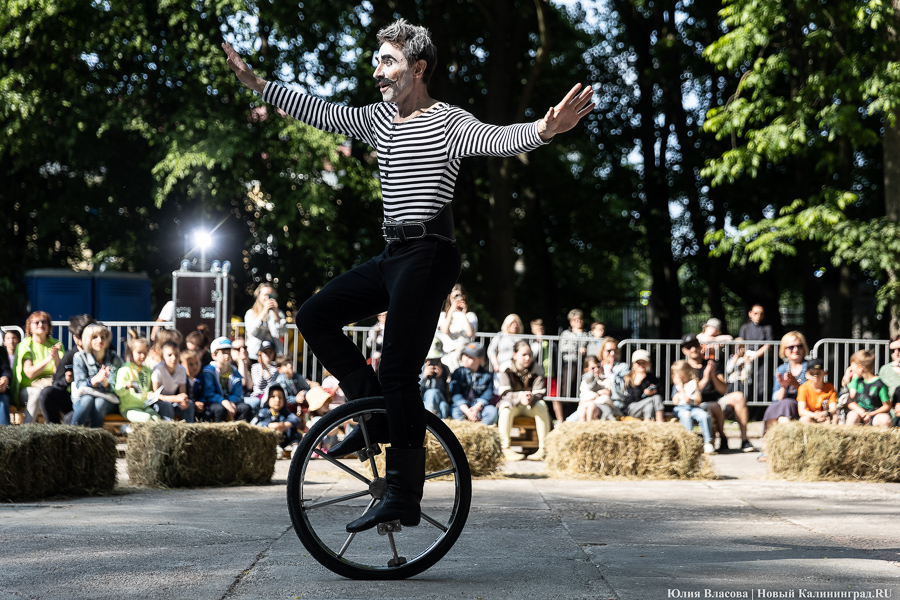 Это просто цирк какой-то: фестиваль «Башня» запустил уличную программу на «Балтике» (фото)
