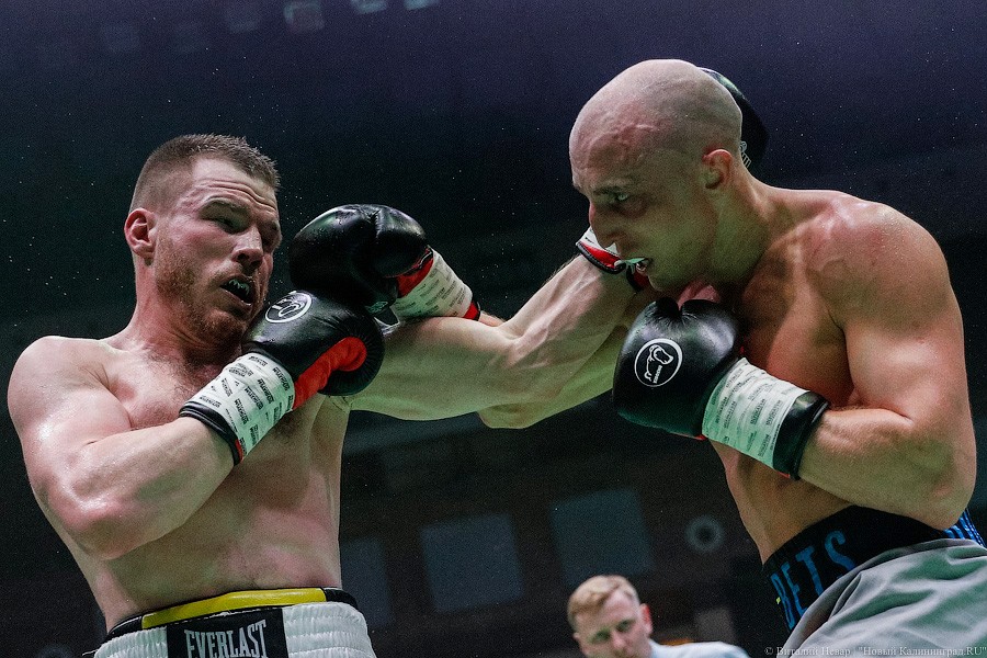Раздельным решением судей: Чухаджян взял титул WBA International в Калининграде