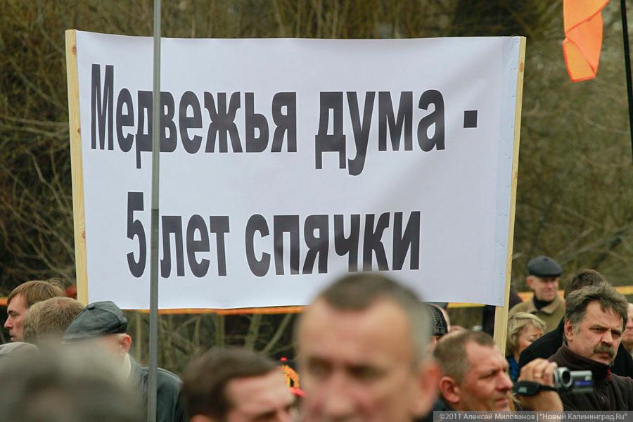 "Что показала весна": репортаж "Нового Калининграда.Ru"