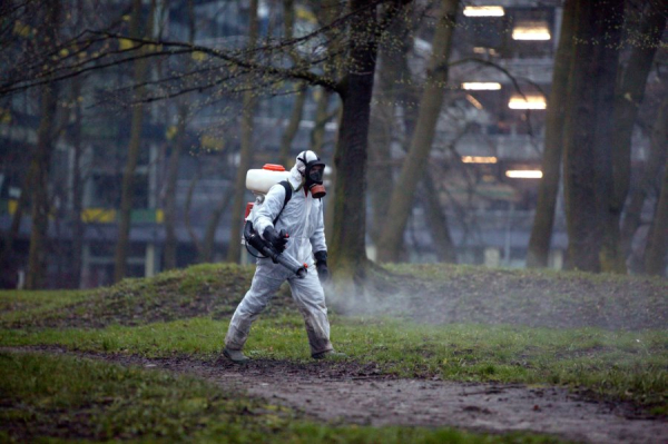 Коварное тепло: 5 вопросов о борьбе с клещами и другими вредителями 