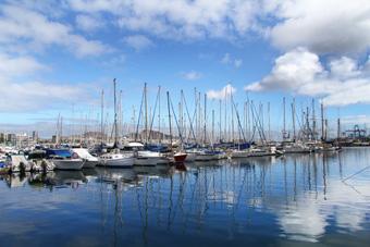 Фото «Нового Калининграда.Ru»