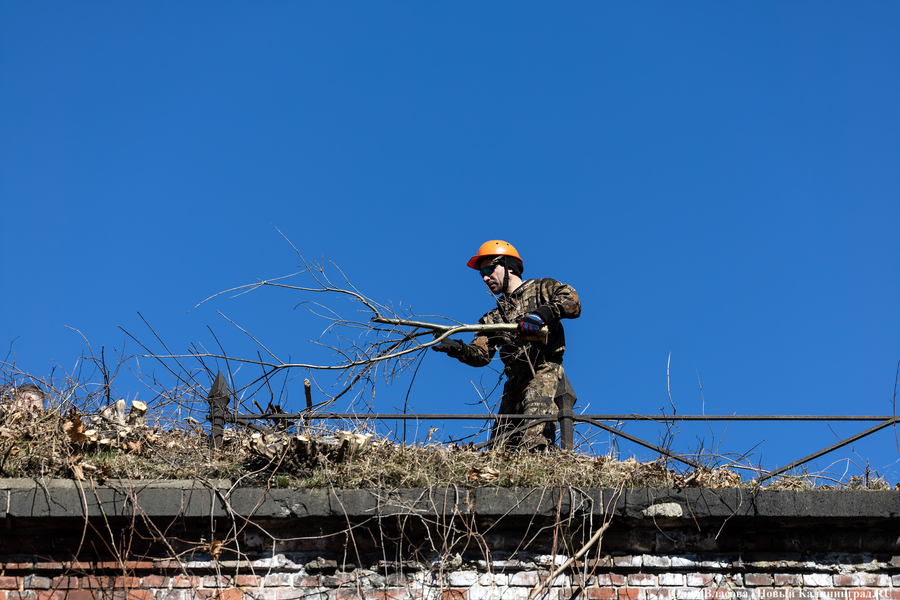 «Начало новой жизни»: в Астрономическом бастионе прошёл субботник (фото)