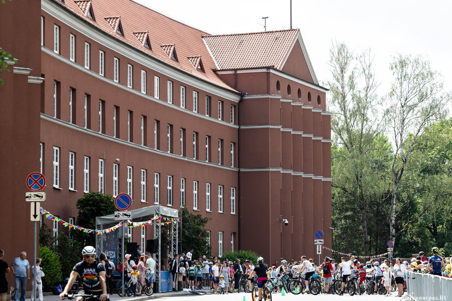 «Море положительных эмоций»: в Калининграде прошёл велопарад «День колеса» (фото)