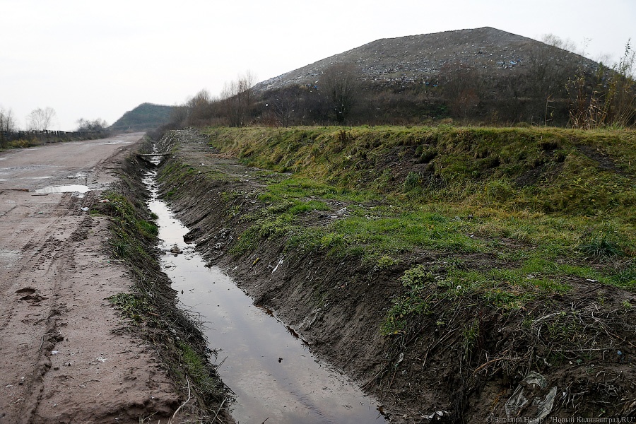Тайная очистка: как рекультивируют свалку под Калининградом