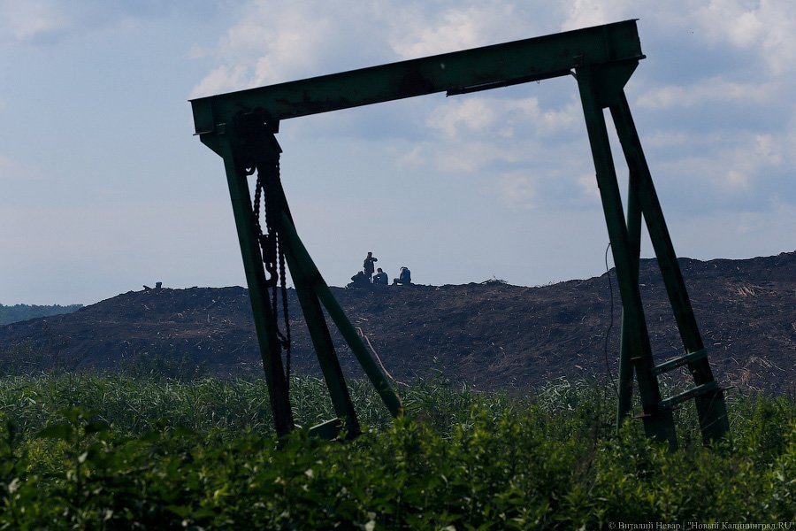 «Пламя из недр»: что происходит на горящих короотвалах в Калининграде (фото)