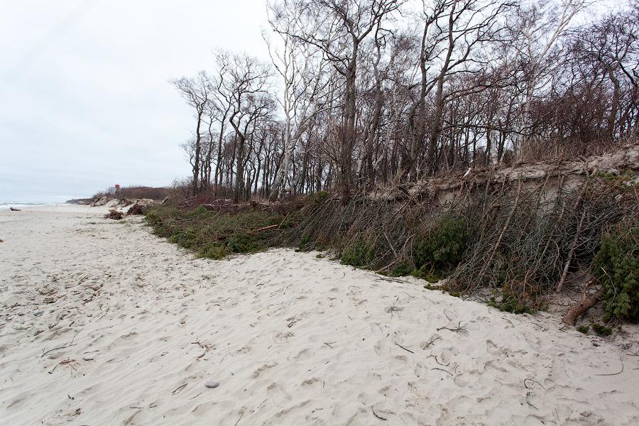 «Спасение косы: любительский вариант»: фоторепортаж «Нового Калининграда.Ru»