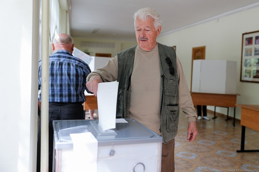 «Выбери меня!»: как проходили праймериз «Единой России» в Калининграде