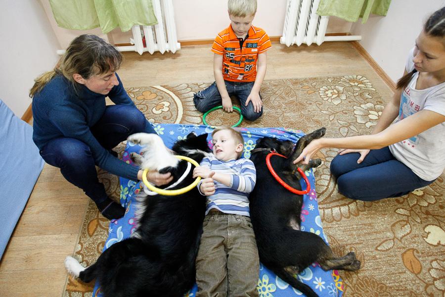 Ребята и зверята: репортаж с сеанса зоотерапии