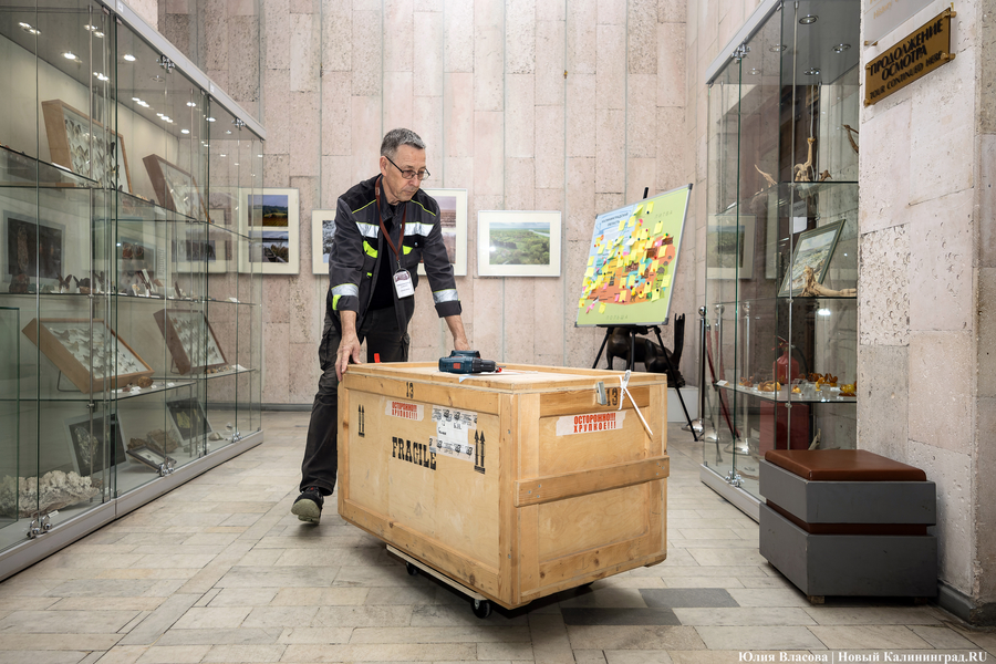 В Калининград привезли портрет и шпагу императрицы Елизаветы (фото)