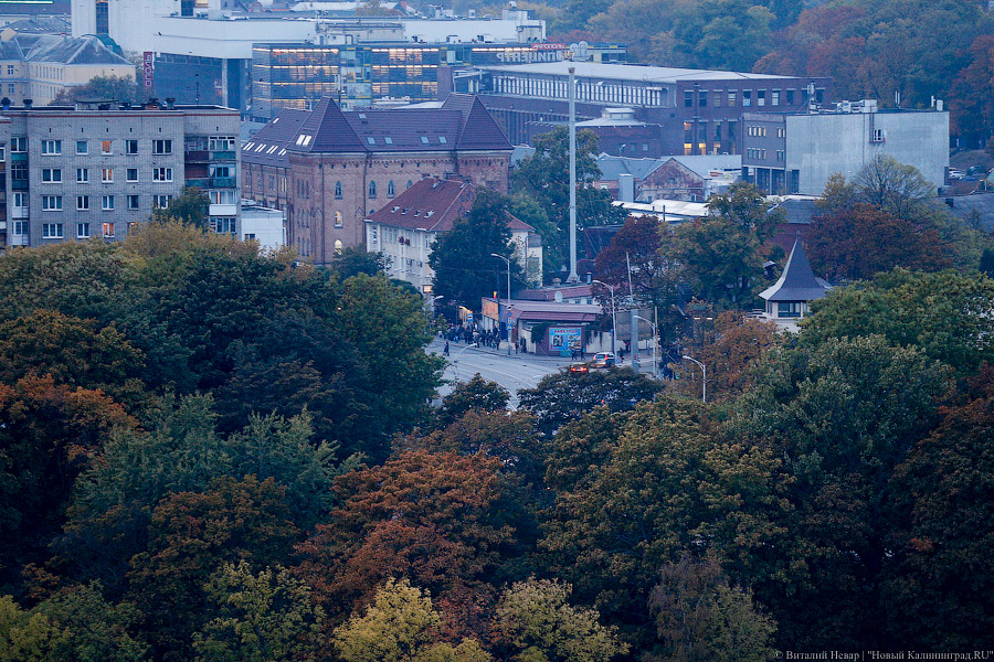Виталий Невар / Новый Калининград