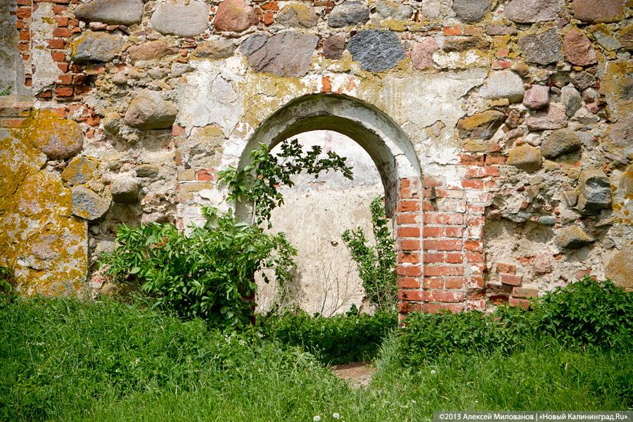 Навоз и куры: кирха 14-го века в поселке Каштаново стала пастбищем для скота