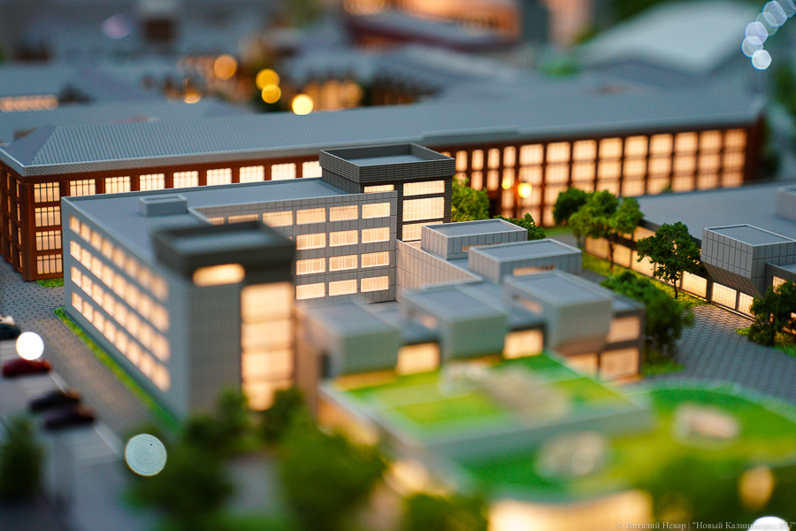 Мэрия Калининграда намерена приостановить строительство кампуса БФУ имени Канта