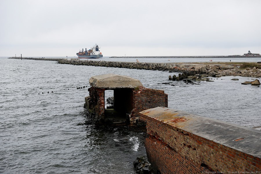 Фото: Виталий Невар / Новый Калининград