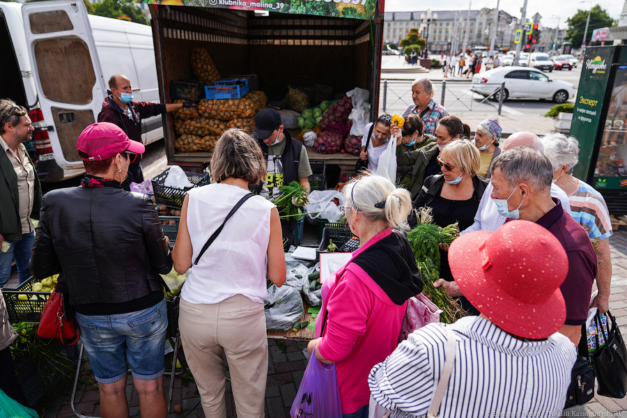 Базар-вокзал: как проходит сельхозярмарка на площади Победы в Калининграде