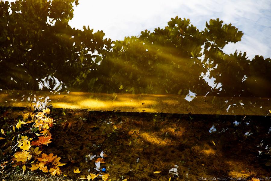 Блеск и нищета: что происходит с набережной Нижнего озера в Калининграде