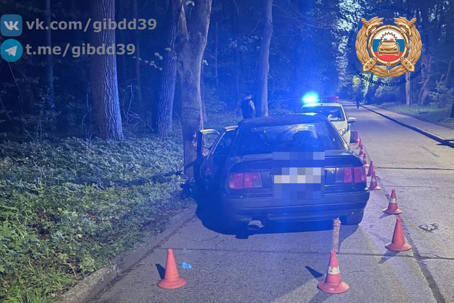 В Северном водитель, не имеющий права управления, врезался в дерево (фото)