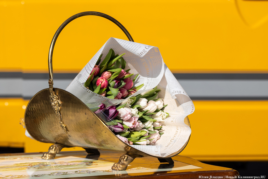 Цветочные баррикады: как выглядят улицы Калининграда 8 марта (фото)
