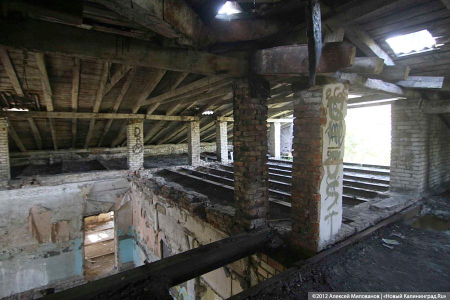 «Куда ушли детские сады»: фоторепортаж «Нового Калининграда.Ru»