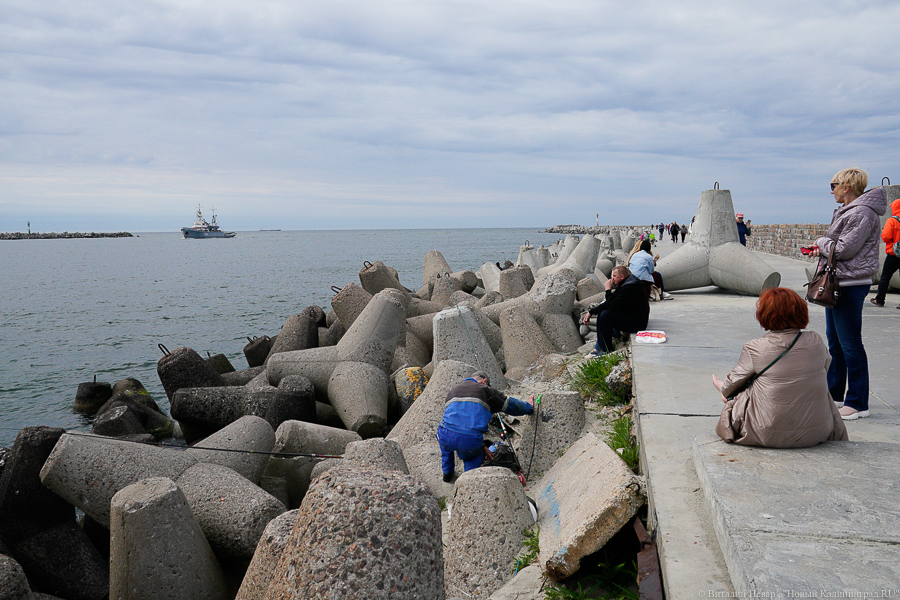 Мельников о туалетах: 100 человек выходят из автобуса и говорят «Где? Куда?»