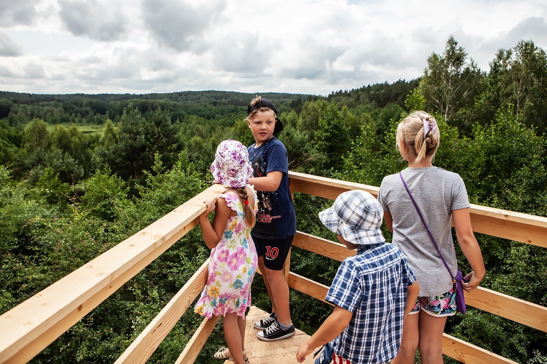 Роминтский ковчег: над холмами Краснолесья открыли смотровую площадку