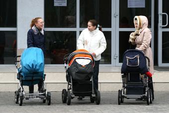 Медведев предложил выдавать земельные участки при рождении третьего ребенка