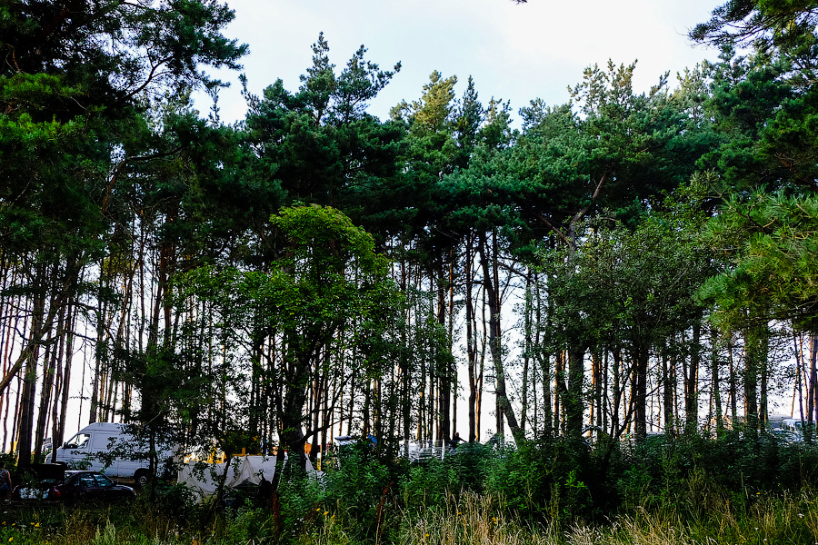 Губернатор: проезд на побережье в Куликово перекрывают тетраподами