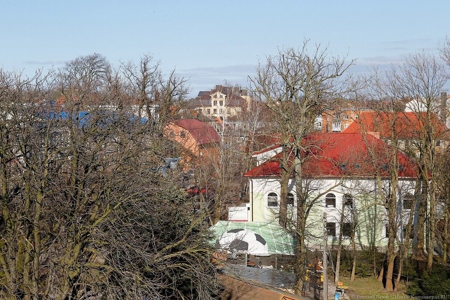 В Зеленоградске хотят сделать парк особо охраняемой территорией