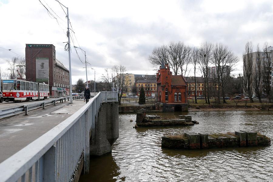 Фото — Виталий Невар, «Новый Калининград.Ru»