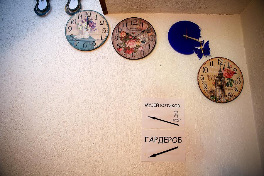 «А нас по телевизору покажут?»: чем занимаются дети в детском лагере «Kids»