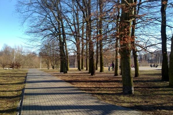 «Региональный Департамент Недвижимости»: квартиры от застройщика в ЖК «Летний сквер»