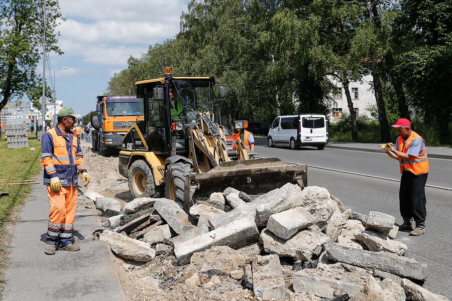 Вдоль дороги в Переславском решено спилить все деревья