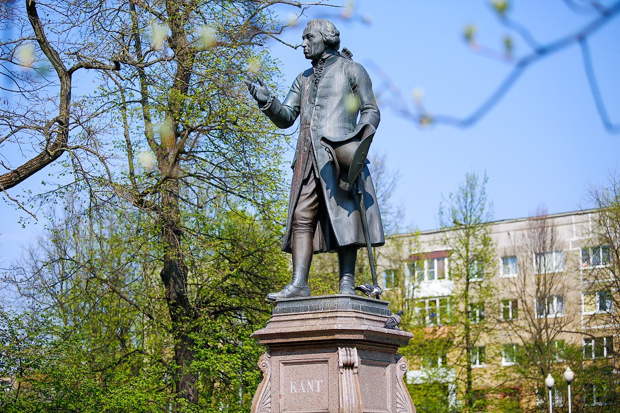 Иммануила Канта внесли в лонг-лист имен для аэропорта «Храброво»