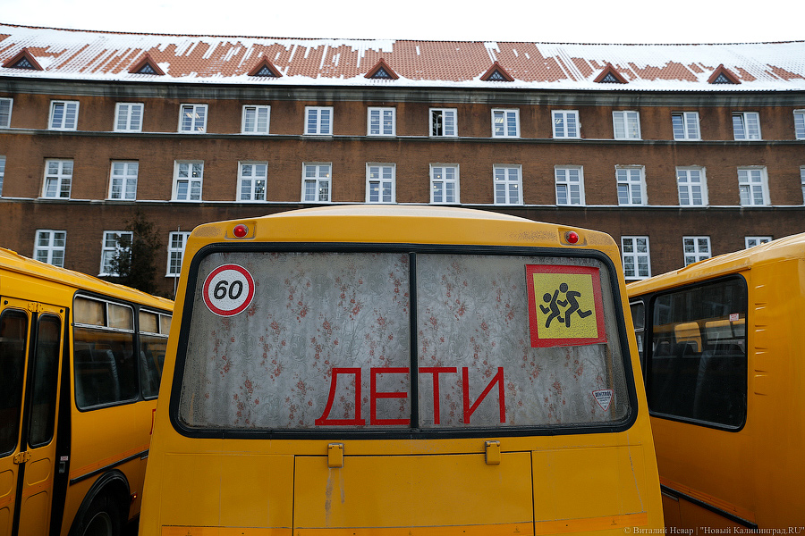 С надеждой на удобство: как муниципалам почти новые автобусы дарили (фото)