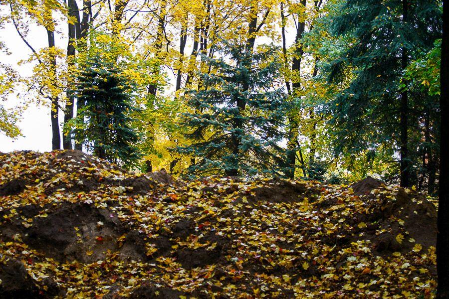 Бессель с ними: основание холма, где была Кенигсбергская обсерватория, срыли экскаваторы