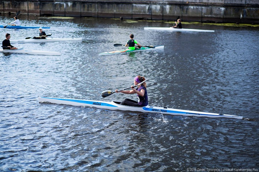 Суши весла!: в Калининграде состоялась международная «Прегельская регата»